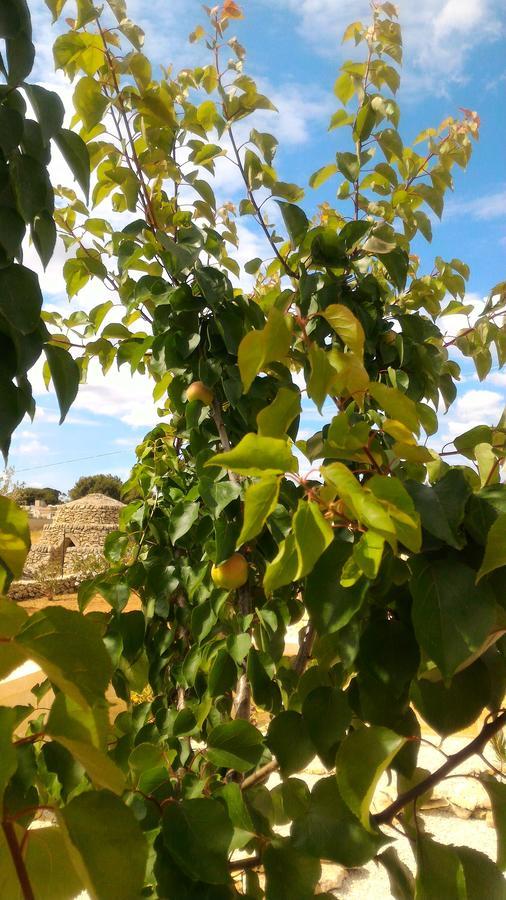 Le Anfore Del Salento 利扎诺码头 外观 照片
